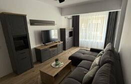 Apartament 2 camere, 50mp - Iasi, Moara de vant
