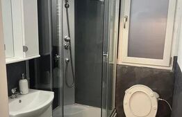 Inchiriere apartament 1 camera | zona Palas |