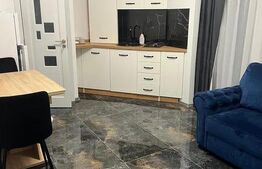 Inchiriere apartament 1 camera | zona Palas |