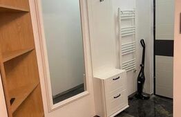 Inchiriere apartament 1 camera | zona Palas |