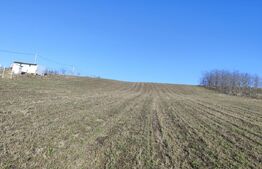 Teren 7750 mp Rediu, 2 cai de acces, de 7 ml, constructii case