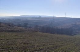 Teren 5000 mp Rediu, oportunitate investitie