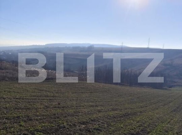 Teren de vânzare Rediu - 184406TV | BLITZ Iași | Poza3