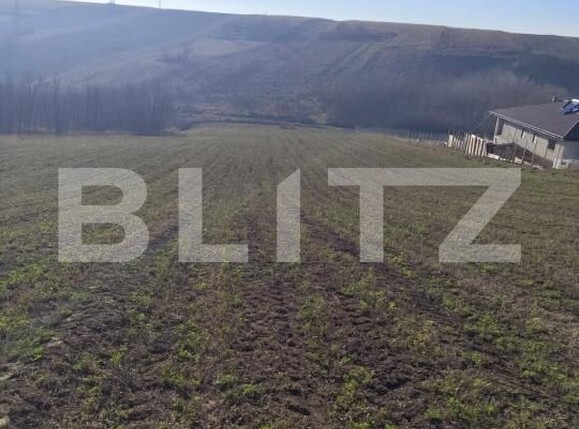 Teren de vânzare Rediu - 184406TV | BLITZ Iași | Poza2