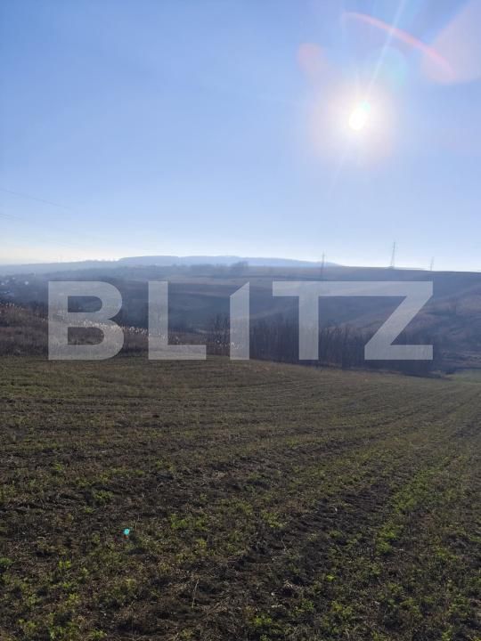 Teren de vânzare Rediu - 184406TV | BLITZ Iași | Poza3