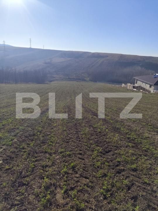 Teren de vânzare Rediu - 184406TV | BLITZ Iași | Poza2