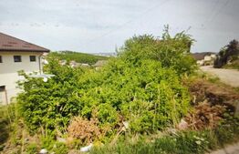 Teren 421 mp intravilan, Hlincea- acces Dedeman Manta Rosie