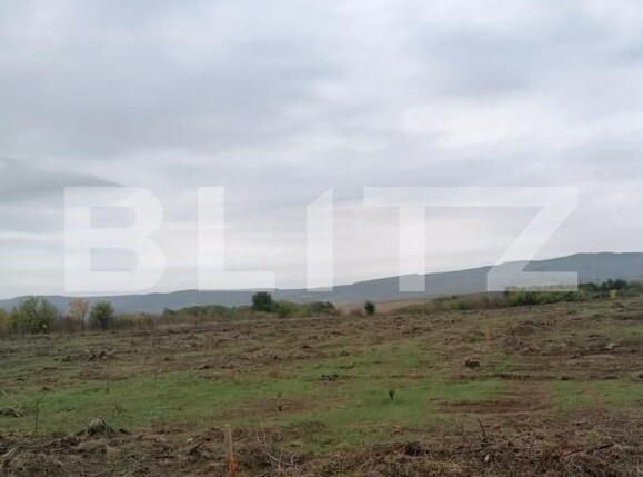 Teren de vânzare Tomesti - 184411TV | BLITZ Iași | Poza1