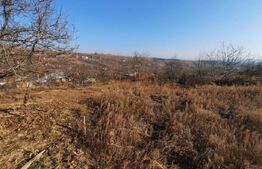 Teren 4990 mp intravilan, Tomesti- Chicerea