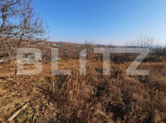 Teren de vânzare Tomesti - 184413TV | BLITZ Iași | Poza1