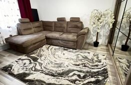 Apartament 1 camera etj 1 Lunca Cetatui, parcare inclusa