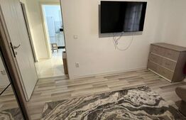 Apartament 1 camera etj 1 Lunca Cetatui, parcare inclusa