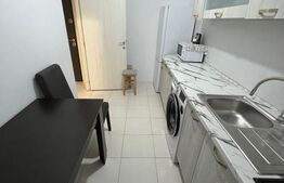 Apartament 1 camera etj 1 Lunca Cetatui, parcare inclusa
