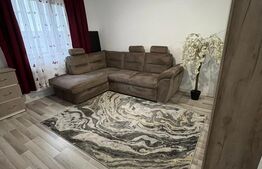 Apartament 1 camera etj 1 Lunca Cetatui, parcare inclusa