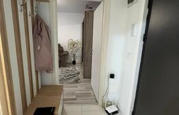 Apartament 1 camera etj 1 Lunca Cetatui, parcare inclusa