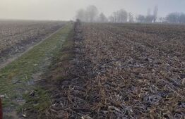 Teren 7200 mp extravilan, Miroslava-Vorovesti,  langa zona de case