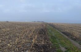 Teren 7200 mp extravilan, Miroslava-Vorovesti,  langa zona de case