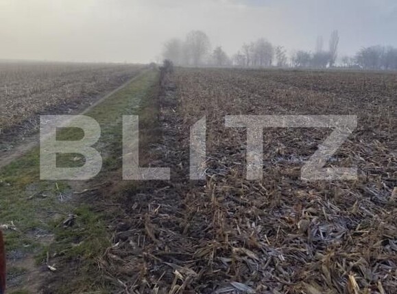 Teren de vânzare Miroslava - 184477TV | BLITZ Iași | Poza1