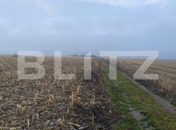 Teren de vânzare Miroslava - 184477TV | BLITZ Iași | Poza2