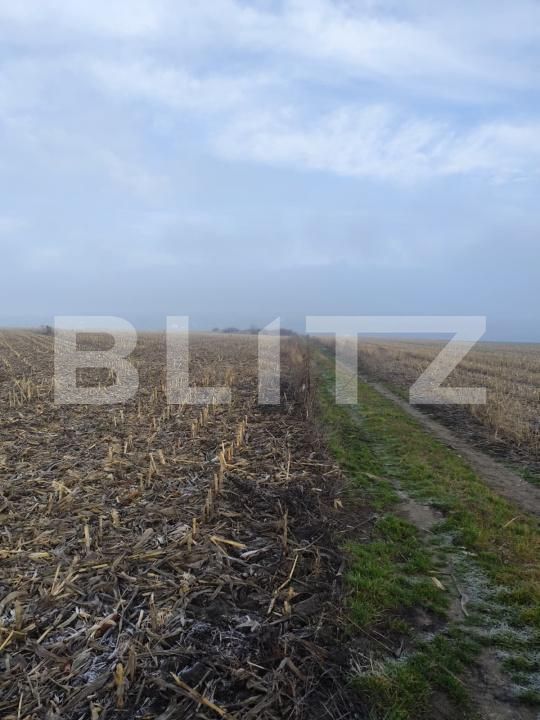 Teren de vânzare Miroslava - 184477TV | BLITZ Iași | Poza2