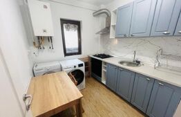Apartament 1 camera, 30 mp - Iasi, Lunca Cetatuii