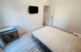 Apartament 1 camera, 30 mp - Iasi, Lunca Cetatuii