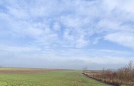 Teren de vânzare Valea Adanca - 162163TV | BLITZ Iași | Poza2