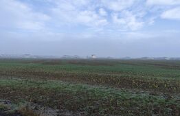 Teren 15000 mp extravilan, Miroslava-Vorovesti, langa zona de case