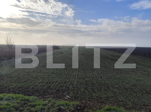 Teren de vânzare Miroslava - 184602TV | BLITZ Iași | Poza2