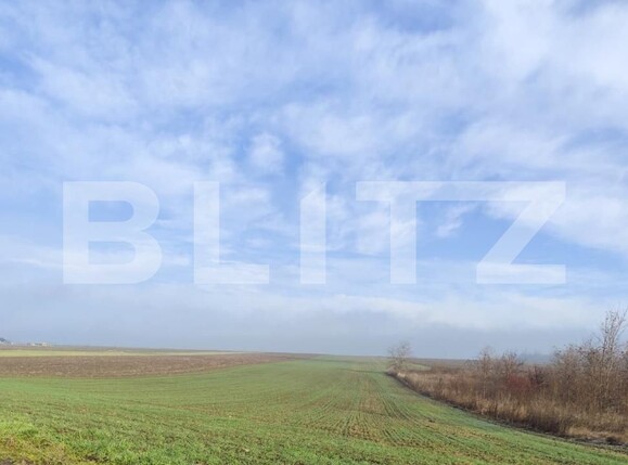 Teren de vânzare Miroslava - 184602TV | BLITZ Iași | Poza1
