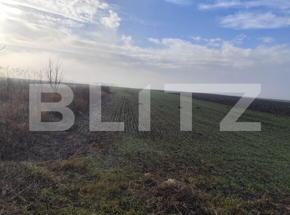 Teren de vânzare Miroslava - 184602TV | BLITZ Iași | Poza3