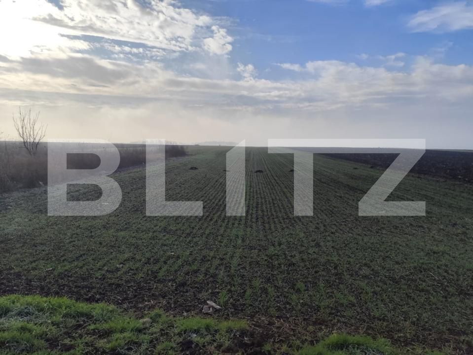 Teren de vânzare Miroslava - 184602TV | BLITZ Iași | Poza2