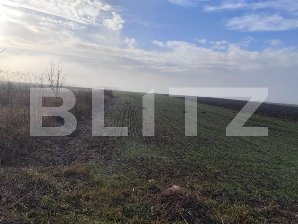 Teren de vânzare Miroslava - 184602TV | BLITZ Iași | Poza3