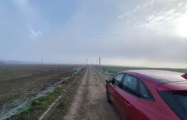 Teren 8400 mp extravilan, Miroslava-Vorovesti