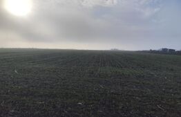 Teren 8400 mp extravilan, Miroslava-Vorovesti