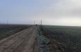 Teren 8400 mp extravilan, Miroslava-Vorovesti