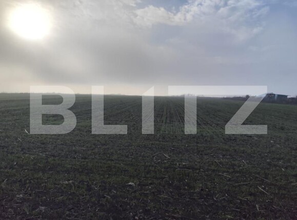 Teren de vânzare Miroslava - 184605TV | BLITZ Iași | Poza4