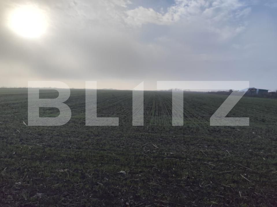 Teren de vânzare Miroslava - 184605TV | BLITZ Iași | Poza4