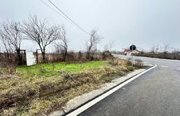 Teren de vanzare, 7200 mp, parcelabil, zona Bogdanesti