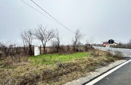Teren de vanzare, 7200 mp, parcelabil, zona Bogdanesti