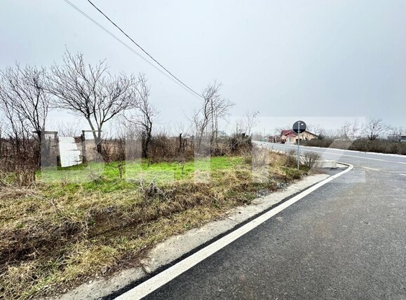 Teren de vânzare Exterior Est - 184823TV | BLITZ Iași | Poza2