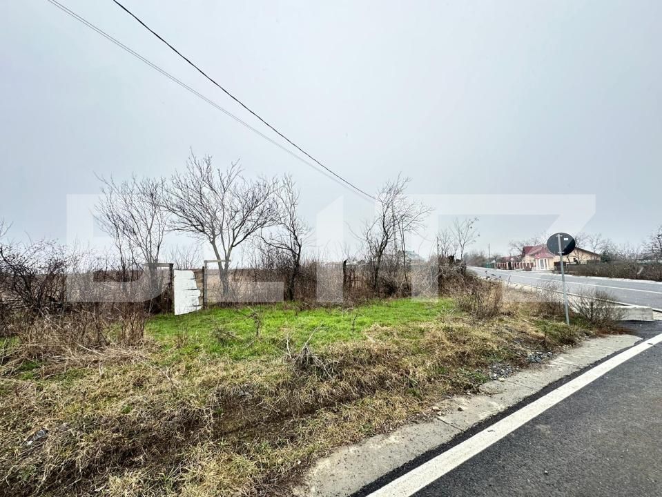 Teren de vânzare Exterior Est - 184823TV | BLITZ Iași | Poza3