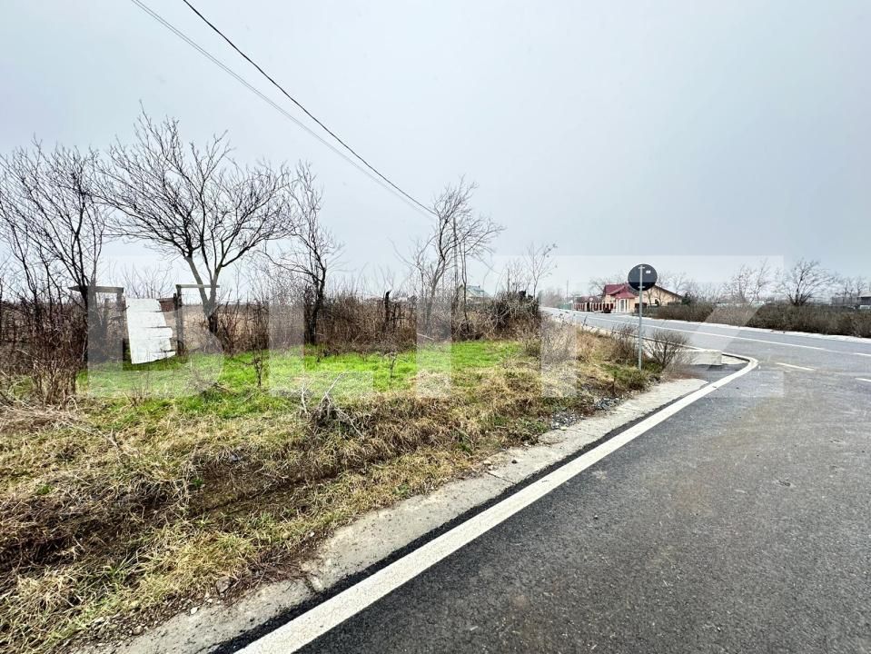 Teren de vânzare Exterior Est - 184823TV | BLITZ Iași | Poza2