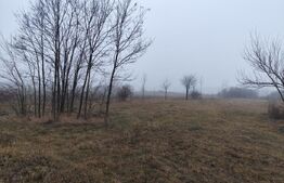 Teren  intravilan 1958 mp, Ciurea-Chihan