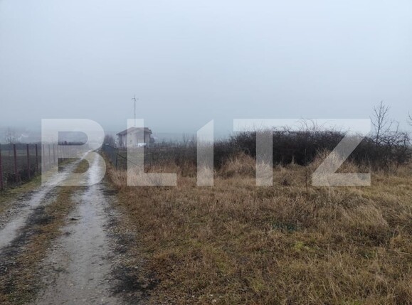Teren de vânzare Ciurea - 184843TV | BLITZ Iași | Poza2