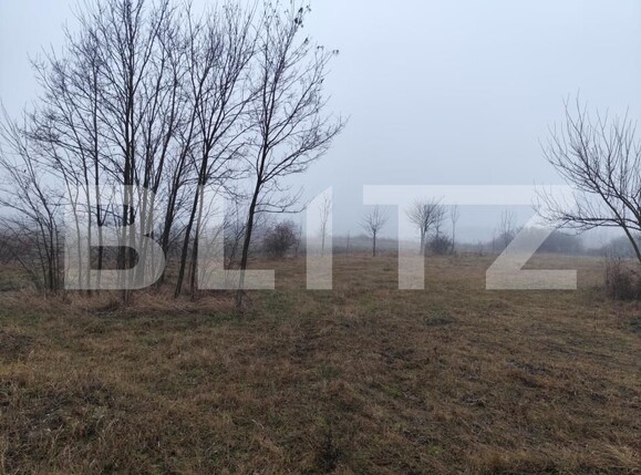 Teren de vânzare Ciurea - 184843TV | BLITZ Iași | Poza1