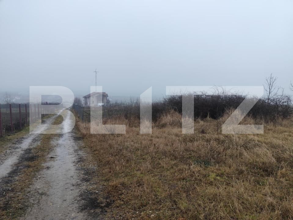 Teren de vânzare Ciurea - 184843TV | BLITZ Iași | Poza2