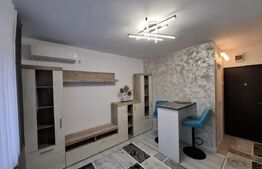 Camera camin, 17 mp, zona Bularga