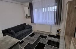 Camera camin, 17 mp, zona Bularga