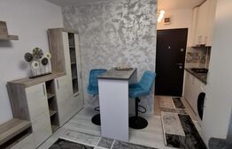 Camera camin, 17 mp, zona Bularga